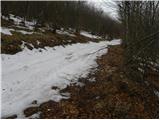 Povžane - Grmada at Slavnik